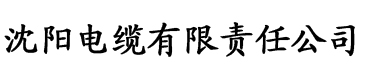 亚洲AV日韩AV永久无码久久电缆厂logo